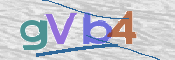 Obraz CAPTCHY